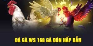 Ws 168 đá gà có cách đặt cược siêu đơn giản