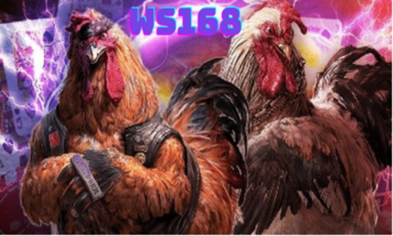  WS 168 đá gà là sảnh game uy tín nhất